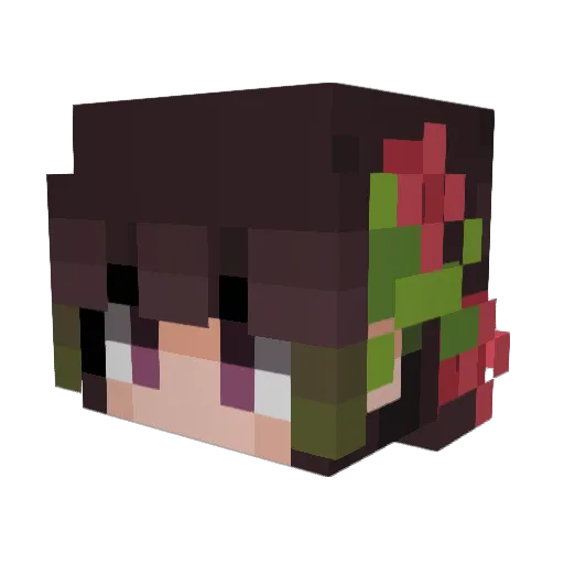 pluwto Minecraft avatar head, 3D render