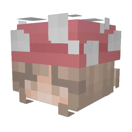 pluxto_ Minecraft avatar head, 3D render