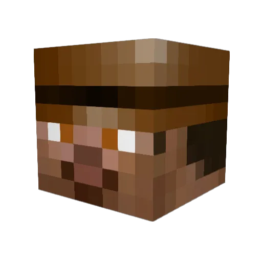 plynnmiller Minecraft avatar head, 3D render