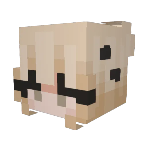 plyonnep Minecraft avatar head, 3D render