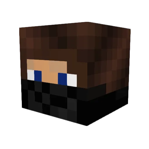 pmedel2 Minecraft avatar head, 3D render