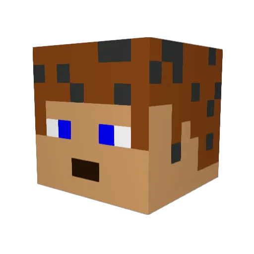 pmlane Minecraft avatar head, 3D render