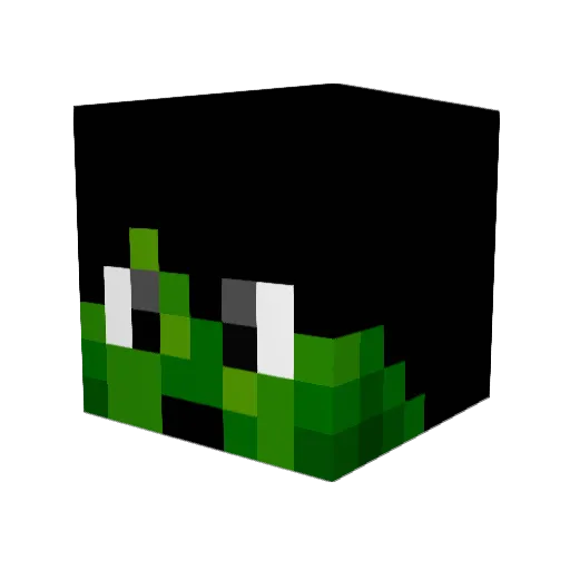 pmmf1HD Minecraft avatar head, 3D render