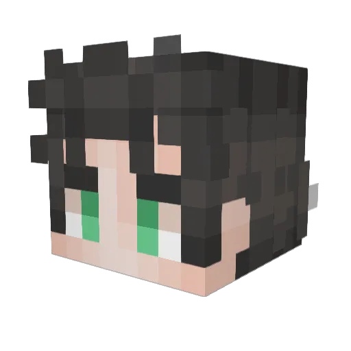 pmx_ Minecraft avatar head, 3D render