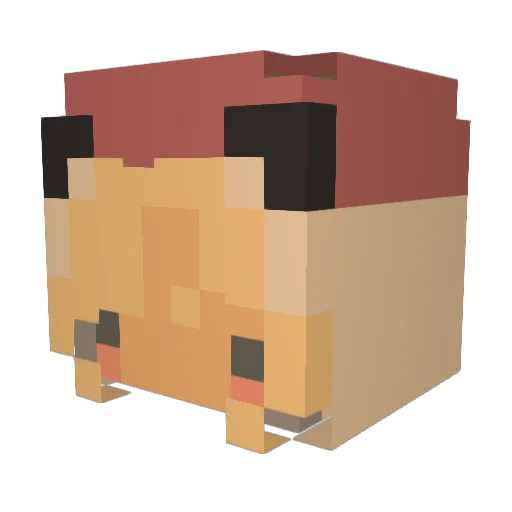 pndi Minecraft avatar head, 3D render