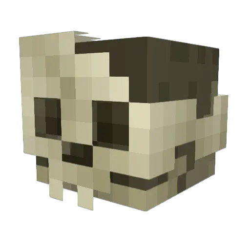 pnguin123 Minecraft avatar head, 3D render