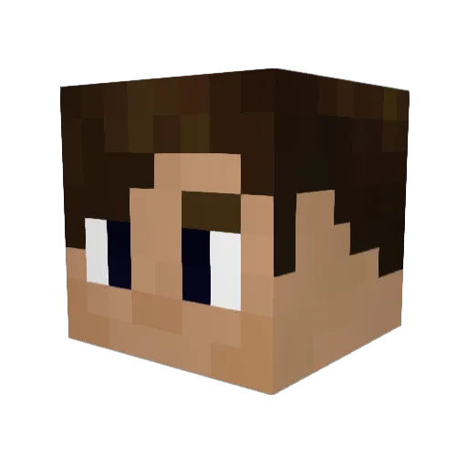 pnkfsh Minecraft avatar head, 3D render