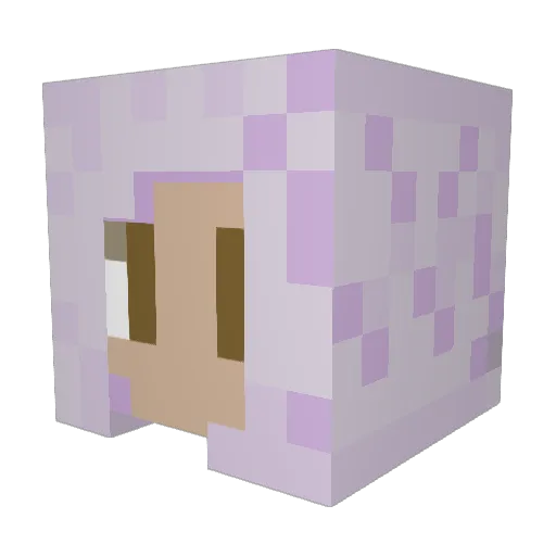 pnr8555 Minecraft avatar head, 3D render