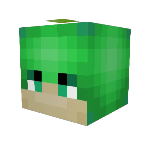 pnutbutr5779 Minecraft avatar head, 3D render