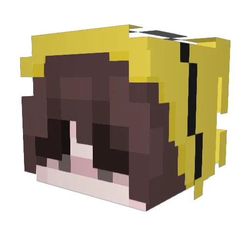 pnutminion Minecraft avatar head, 3D render