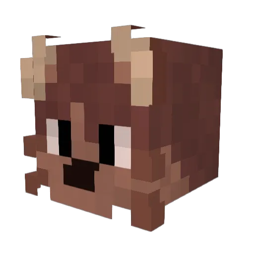 po1ariser Minecraft avatar head, 3D render