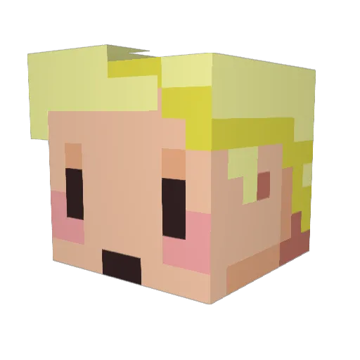 po23 Minecraft avatar head, 3D render