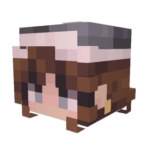 poIobear Minecraft avatar head, 3D render