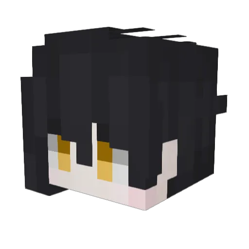 po_ki_ Minecraft avatar head, 3D render