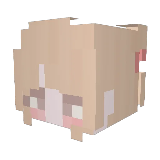 po_mea Minecraft avatar head, 3D render