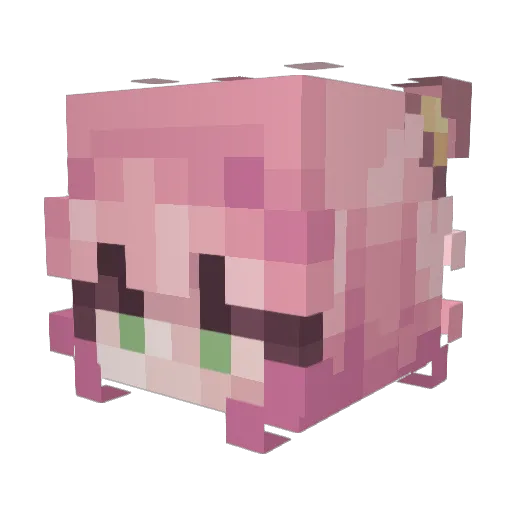 po_po_cat Minecraft avatar head, 3D render