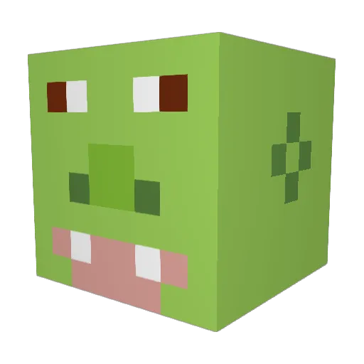 pobmeister Minecraft avatar head, 3D render