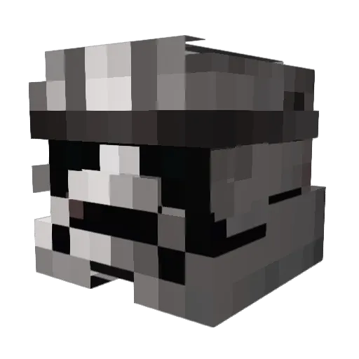 pocari3480 Minecraft avatar head, 3D render