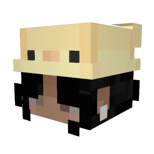 pochawrld Minecraft avatar head, 3D render