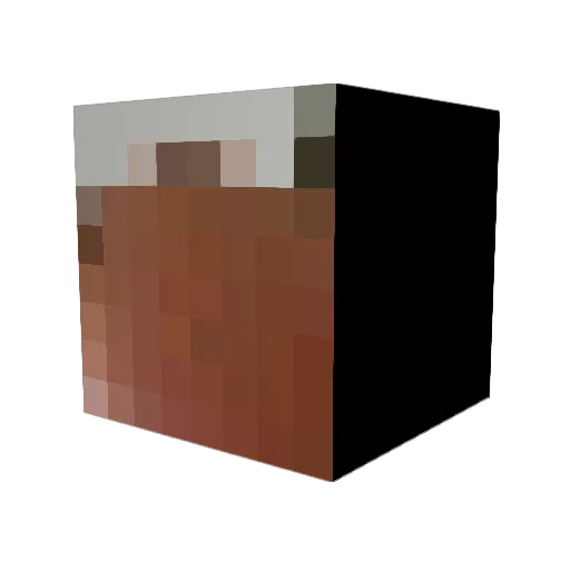 pocheru Minecraft avatar head, 3D render