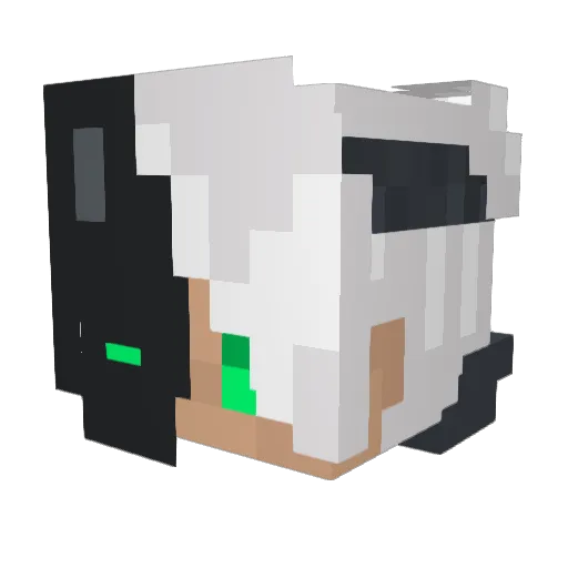 pochibarick Minecraft avatar head, 3D render