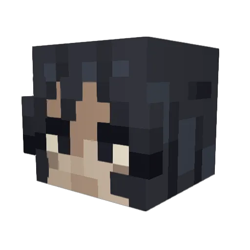 pochitism Minecraft avatar head, 3D render