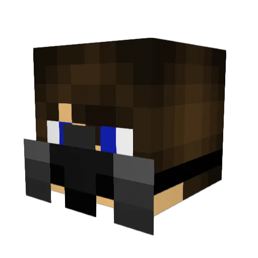 pockethan66 Minecraft avatar head, 3D render