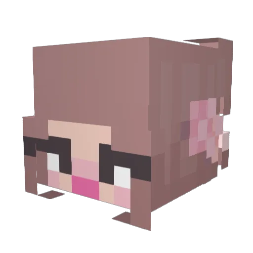 pocketpufff Minecraft avatar head, 3D render
