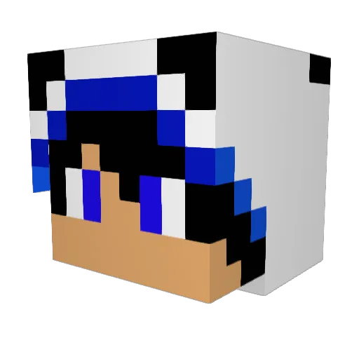 pocketshovel1234 Minecraft avatar head, 3D render