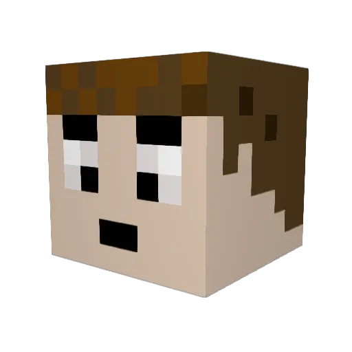 pocosfriend Minecraft avatar head, 3D render