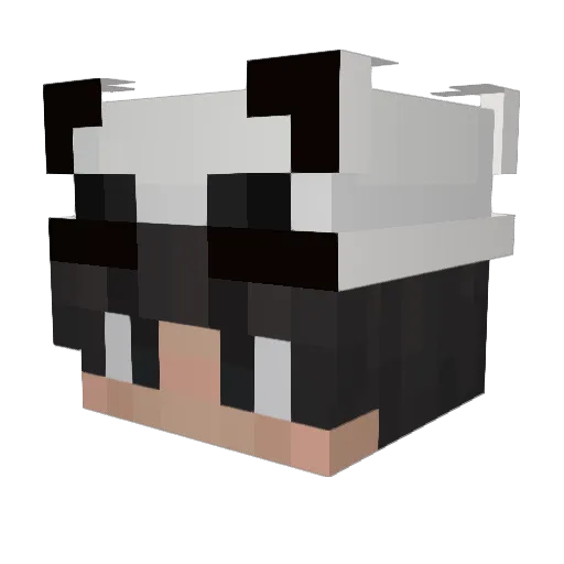pocsie Minecraft avatar head, 3D render