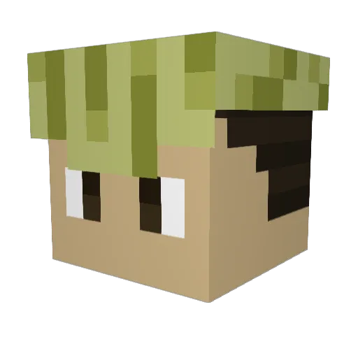 pocztuu Minecraft avatar head, 3D render