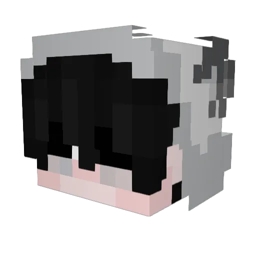 podbitysilnik1 Minecraft avatar head, 3D render