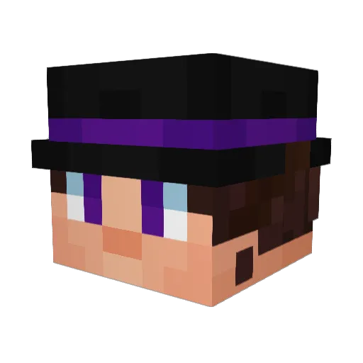 podd0 Minecraft avatar head, 3D render