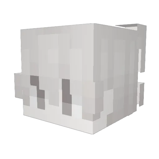 poem0 Minecraft avatar head, 3D render