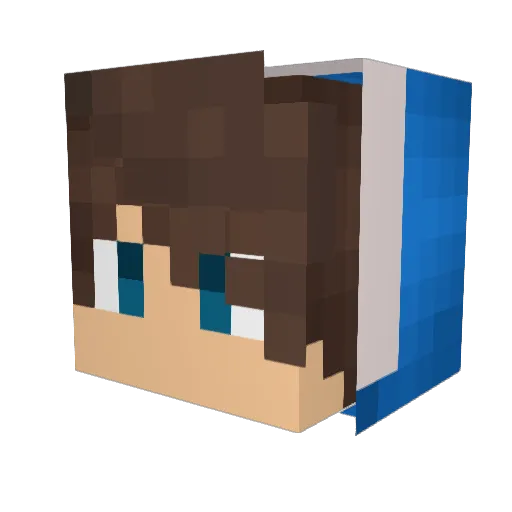 poepbaan Minecraft avatar head, 3D render
