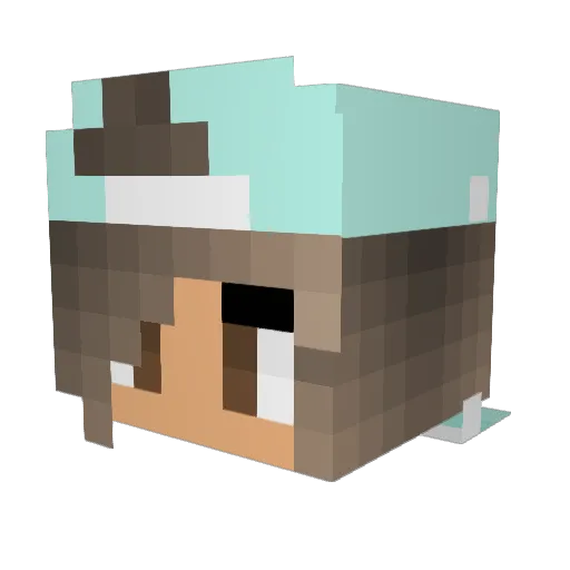 poepsiewoepsie Minecraft avatar head, 3D render