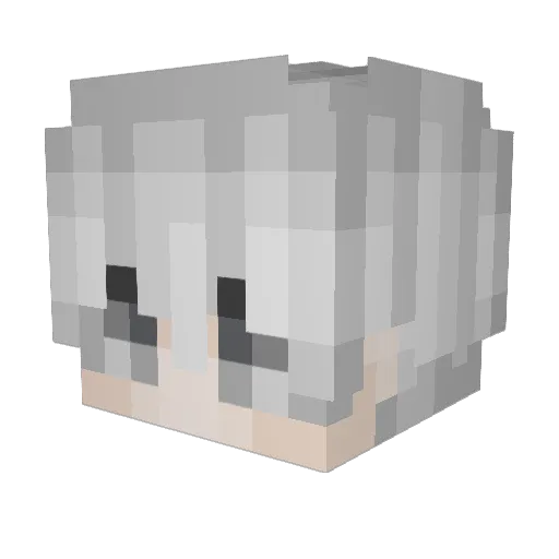 poetill12 Minecraft avatar head, 3D render