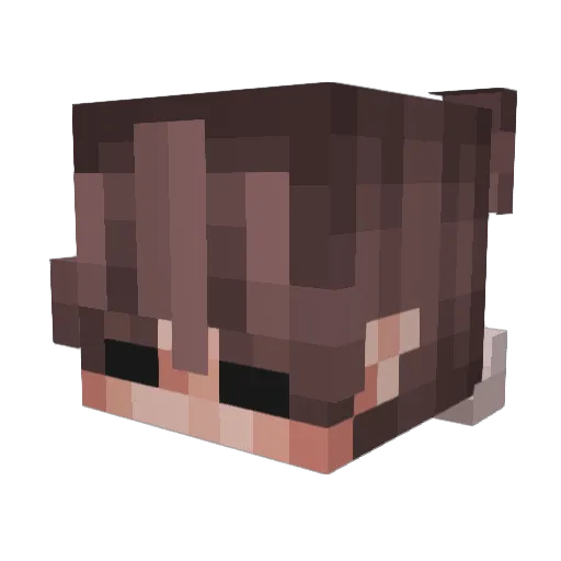 poffertje13 Minecraft avatar head, 3D render