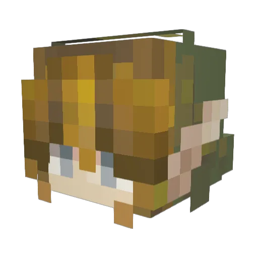 pofi223 Minecraft avatar head, 3D render