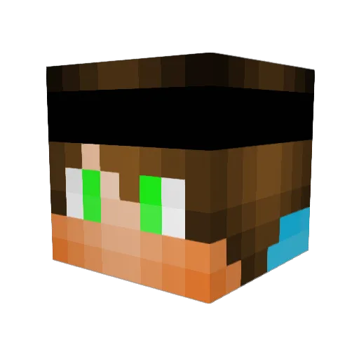 pog_racks04 Minecraft avatar head, 3D render