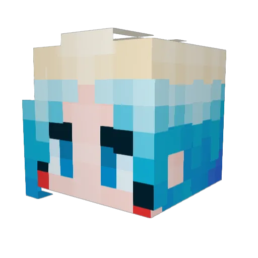 pogers112 Minecraft avatar head, 3D render