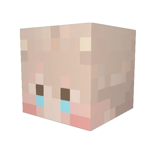pogimi Minecraft avatar head, 3D render