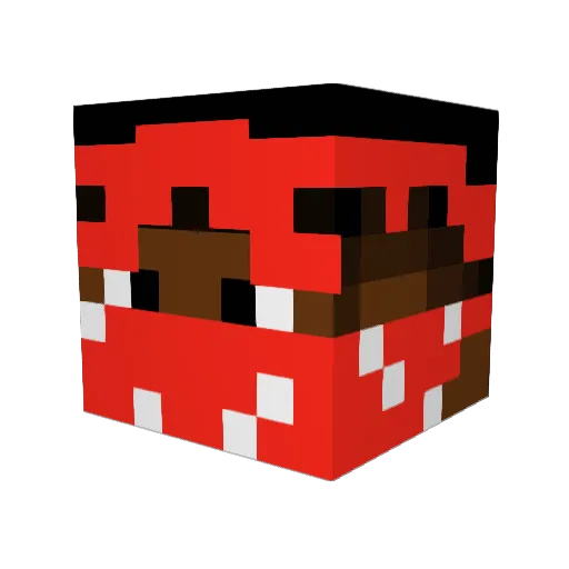 pogio Minecraft avatar head, 3D render