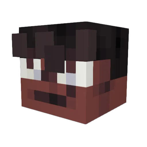 pogjeet Minecraft avatar head, 3D render