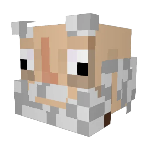 pogkopke Minecraft avatar head, 3D render