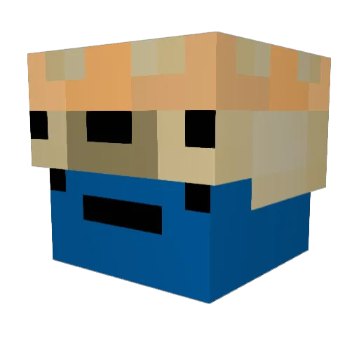 pognugget224 Minecraft avatar head, 3D render