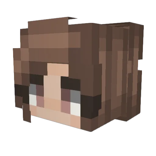 pogopi Minecraft avatar head, 3D render