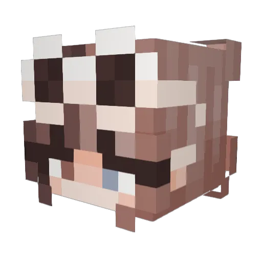 pogpeanoot Minecraft avatar head, 3D render