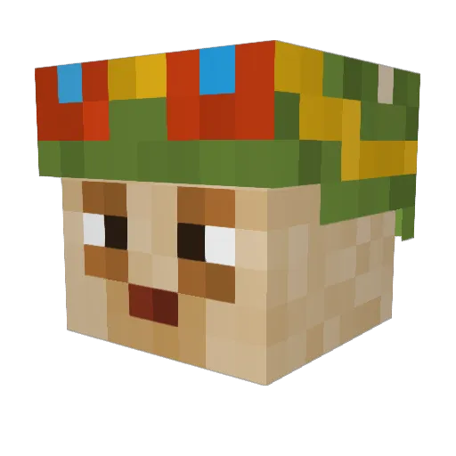 pogsalamander888 Minecraft avatar head, 3D render